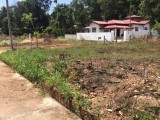 Land for sale in Nilpanagoda