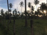Land for selling from Marawilla