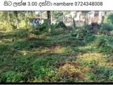Land for selling from Kahathuduwa,Colombo ,SriLanka