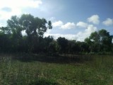 Land for sale in Arugambay