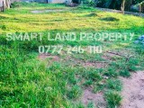 Smart Land Property is in Wekanda,Homagama.