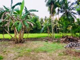 Land for selling near Habarakada,Parakum Mawatha  ,SriLanka