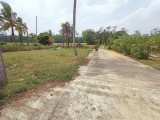 Land For sale in Nittabuwa