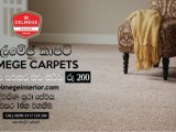 Long Lasting Carpets