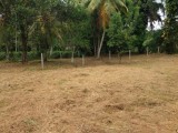 Land for selling from Thalagaha,Galle,SriLanka