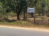 Land for Sale  in Nikawaratiya