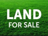 Land For Sale Pitipana