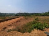 Land for sale Welipenna