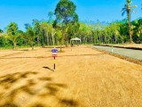 Land for selling from Horana