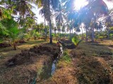 Land for selling from Thissamaharamaya,SriLanka