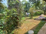 Land for selling from Galle,between Mapalagama and Udugama