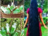 Shampoo,Condition and oil for Hair growth production