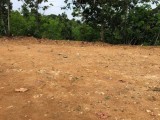 Land for sale from Kirindiwela