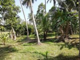 Land for selling from Kurunegala,SriLanka