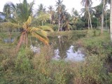 Land for selling from Kurunegala ,SriLanka