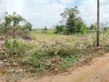 LAND FOR SALE MATHALE