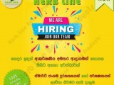 Herb Line -Job vacancy