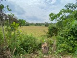 Land for selling from Homagama,SriLanka