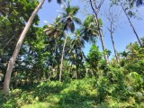 LAND FOR SALE WALASSMULLA