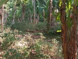 LAND FOR SALE Kurunegala,Alawwa