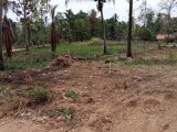 Land for selling from Kurunegala ,SriLanka