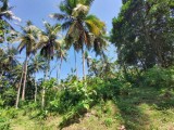 Land for sale in Hambantota