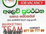 Marketing Team Job Vacancy