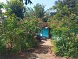 Land for selling from Mahiyanganaya,SriLanka