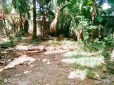 Land For Sale from Kandana