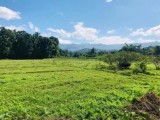 Land For Sale from Matale
