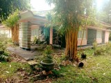 Single story Bungalow with 20acres coconut estate for selling