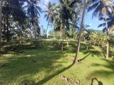 Land For Sale from Beliaththa