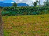 Land For Sale from Nuwara Eliya