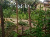 Land For Sale from Horana