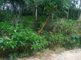 Land For Selling from Horana