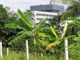 Land For Sale from Kalutara