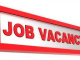 Job Vacancies for people