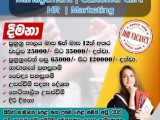 Job Vacancies for posts of marketing, customer care,HR,management