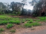 Land For Sale from Homagama