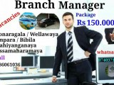 Job vacancies for Branch Manager
