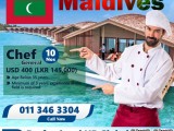 Maldives JOB VACANCIES