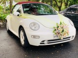 Volkswagen Beetle 2003 (Used)