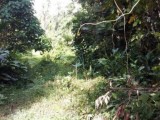 Land for sale from Gampaha