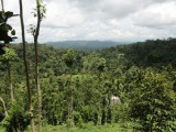 Land for sale from Kadugannawa