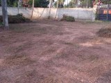 Land for sale from pamunugamuwa -Negombo road