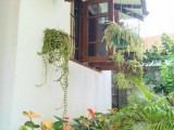 House for sale from Aluthgama