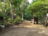 Land for sale from Malagoda මැලෑගොඩ