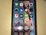 Apple iPhone XR  (Used)