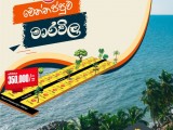 Land for sale from Chilaw