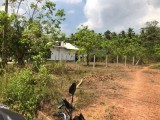 Land for sale from Minuwangoda, Gampaha